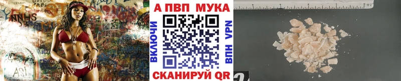 Alfa_PVP СК КРИС  Йошкар-Ола 