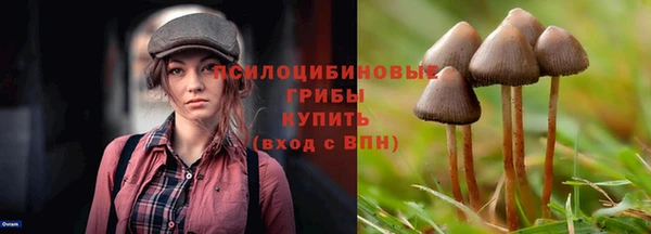 гидра Балахна