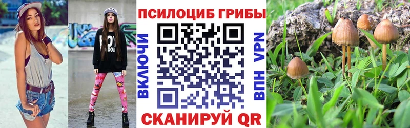 Галлюциногенные грибы Psilocybine cubensis  как найти закладки  Йошкар-Ола 